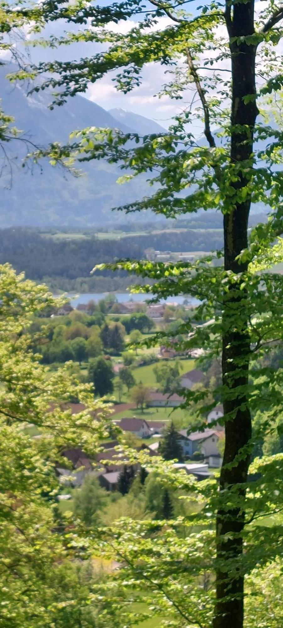 Ferienhaus Golfblick Grabelsdorf Buitenkant foto